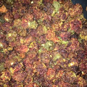 Ghost Pepper