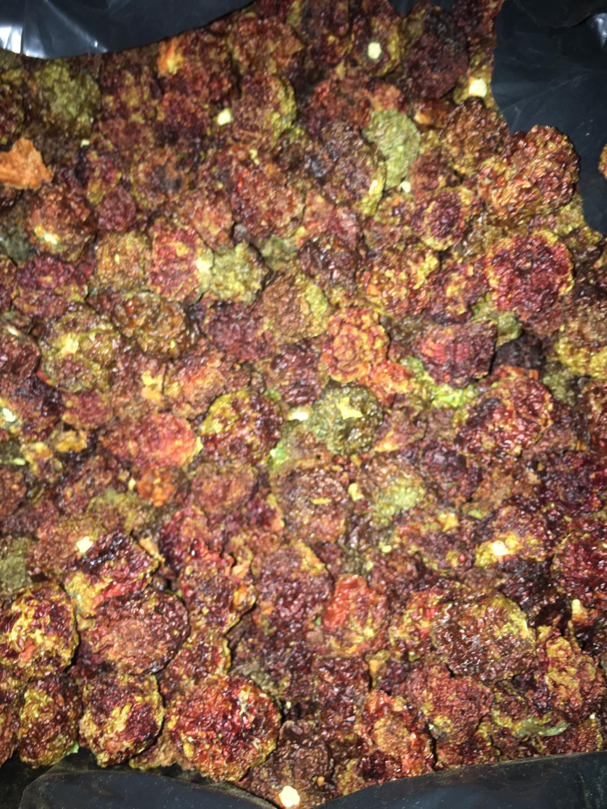 Ghost Pepper