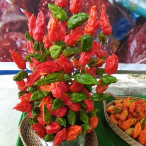 Ghost Pepper